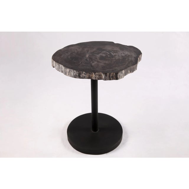 Living Edge Petrified Wood Top W Black Metal Stand Accent Table or Side Table 59 For Sale - Image 4 of 5