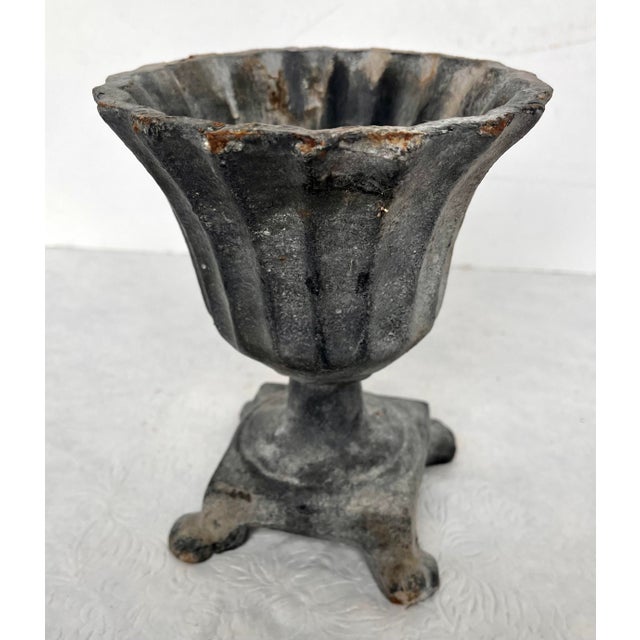 Imported from France. Small cast iron urn on footed base. Charming scalloped fluted edge. Great texture and rustic charm....