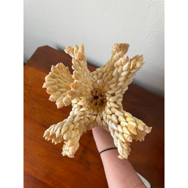 Shell Large Handmade Vintage Polynesian South Pacific Cowrie Shell Vase For Sale - Image 7 of 7