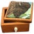Ooak, Carved,Wood, Buffalo Box/Skull Turquoise For Sale - Image 10 of 10
