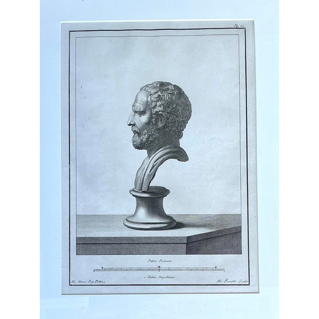 Vintage 18th Century Italian Etchings of Roman Busts - Set of 2 For Sale - Image 11 of 12