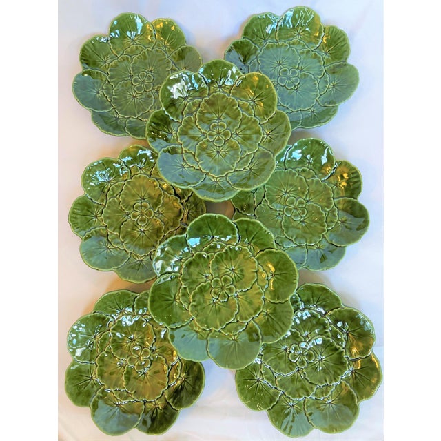 Ceramic Vintage Majolica Cabbage Ware Geranium Plates - Set of 8 For Sale - Image 7 of 10
