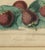 1860 French Botanical Lithograph ‘Fraise Octave’ – Hand Colored Strawberry Plate For Sale In Miami - Image 6 of 9