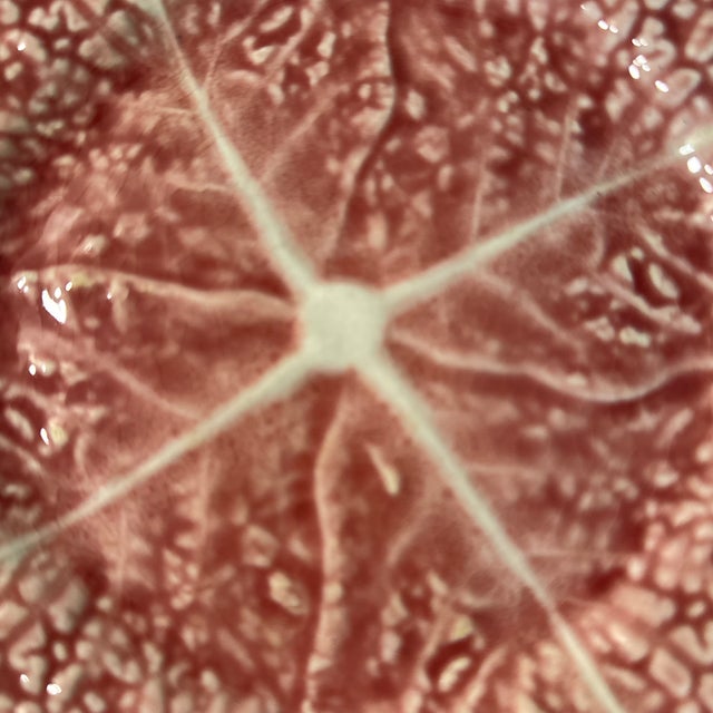 1980s Vintage Secla Pink Cabbage Bread/Dessert Plates, Made in Portugal- Set of 3 For Sale - Image 5 of 8