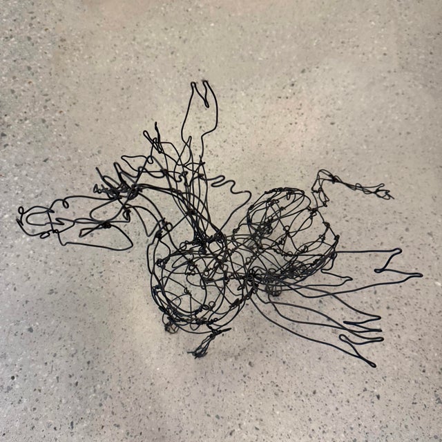 Folk Art Continuous Wire Pegasus Sculpture by Thai Varick For Sale - Image 12 of 12