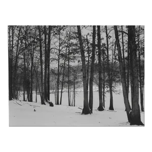1947 Spring Lake Quantico Virginia Snowy Landscape by Don Ware