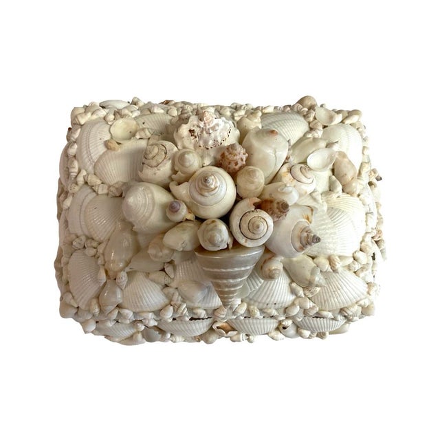 Decorative White Footed Shell Box, by Stetson Shells, with Shell Cluster on Hinged Lid. Lovely on It's Own in Any Space,...