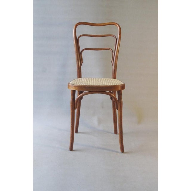 Curved Wooden No. 248 A Chair from J & J Kohn, 1910 For Sale - Image 11 of 11