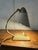 Cream Vintage German Table Lamp in Brass, 1960s For Sale - Image 8 of 11