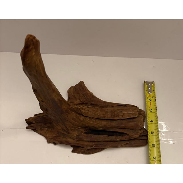 Organic Root Wood Sculpture – Natural Driftwood Object – Organic Modern Decor For Sale In Indianapolis - Image 6 of 10