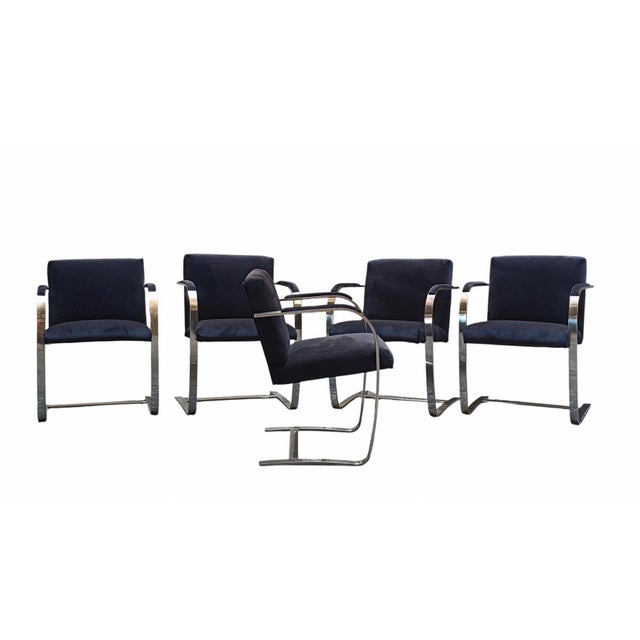 Ludwig Mies van der Rohe Brno Chairs by Ludwig Mies Van Der Rohe for Knoll, Italy, 1970s, Set of 5 For Sale - Image 4 of 6