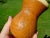 Wood Excellent ChiAntique Chinese Molded Gourd Cricket Cage With Landscape Scene, 18th/19th Century For Sale - Image 7 of 9