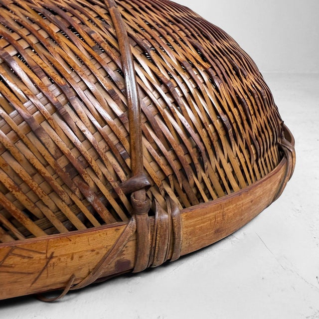 Vintage Japanese Bamboo Zaru Harvest Basket, 1950s For Sale - Image 10 of 11