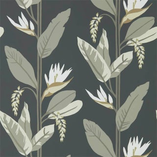 Harlequin Llenya Wallpaper in Jet/Stone/Gold - a Sample For Sale