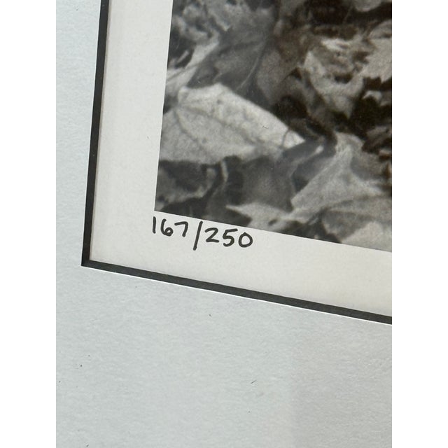 1940s An American Block, Hamilton, Ohio, 1943 Signed by Alfred Eisenstaedt For Sale - Image 5 of 18