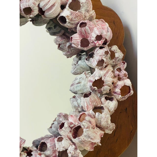 1970s 1970s Coastal Sculptural Barnacles Clusters Shell Round Mirror For Sale - Image 5 of 7