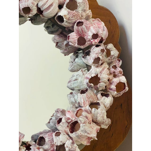 1970s Round Grotto Barnacles Shell Mirror For Sale - Image 5 of 7