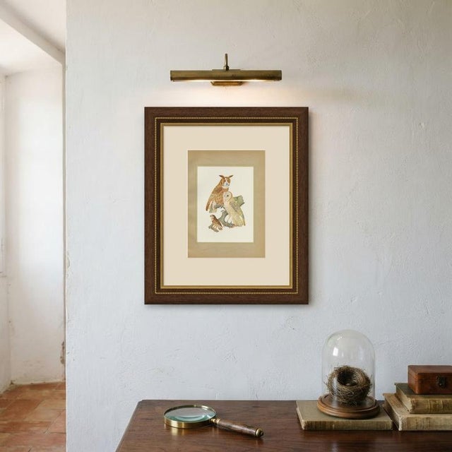 After Descourtilz, Striped Owl, Barn Owl and Pygmy Owl, 1944, Print For Sale - Image 10 of 12
