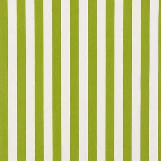 Schumacher Andy Stripe Fabric in Green For Sale