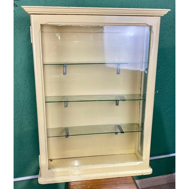 Painted Pine Wall Showcase, 1960s For Sale - Image 12 of 12