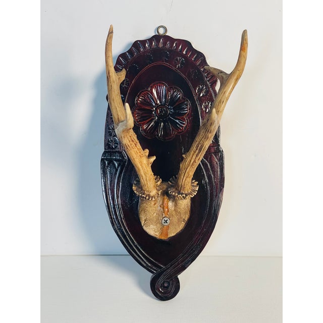 Black Forest vintage roe deer antlers on a handcarved wood plaque board.