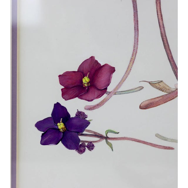 Hand-Painted Watercolor Specimen Flower Painting, Signed For Sale In New York - Image 6 of 10