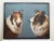 British Oil Painting Scottish Highland Brown & White Rough Collie Dogs Follower Benedict Angell Hyla For Sale - Image 12 of 12