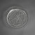 French Lalique Commemorative Crystal Plate Set 20th Century - 12 Pieces For Sale - Image 9 of 10