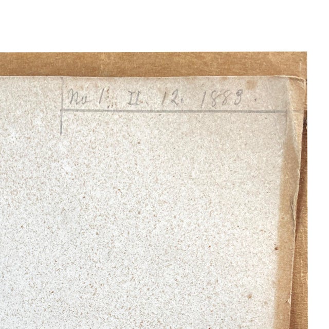 1883 Lithograph Reproduction of Dinocerata From the Yale Paleontology Department For Sale In New York - Image 6 of 8