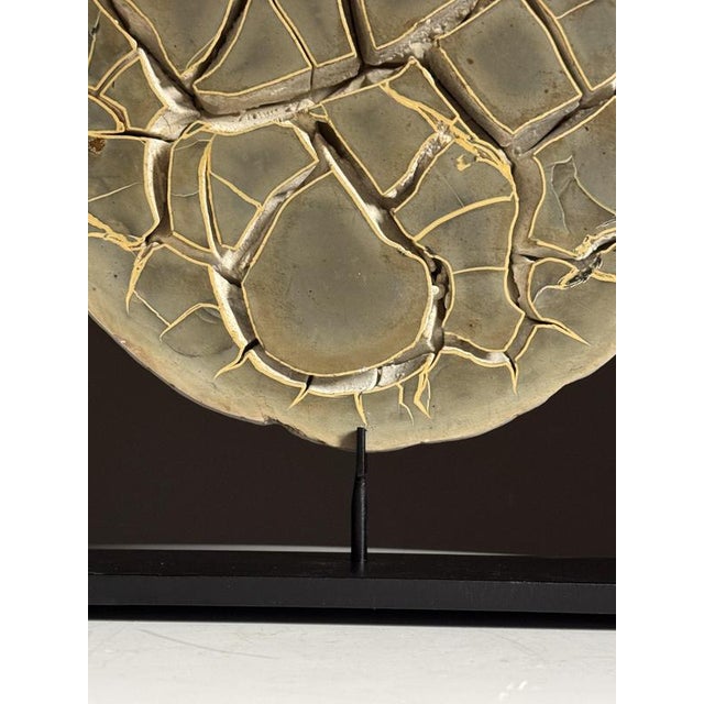 Septarian Nodule on Stand For Sale - Image 12 of 14