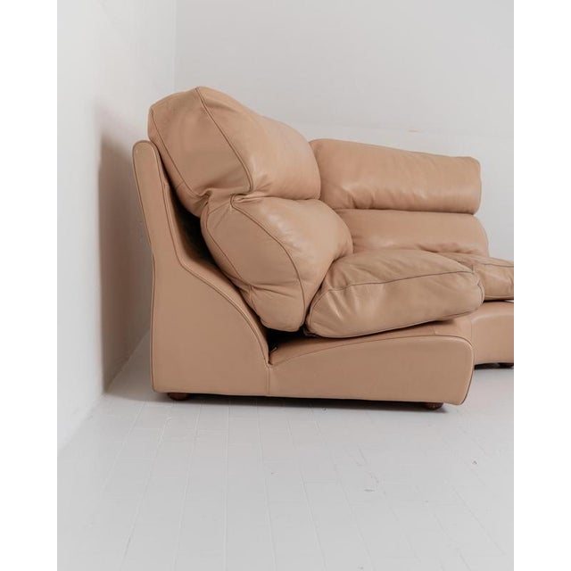 Vintage Love Seat by Tito Agnoli for Poltrona Frau, 1970s For Sale - Image 5 of 12