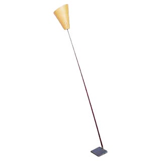 Carbon Floor Lamp, 1970s For Sale