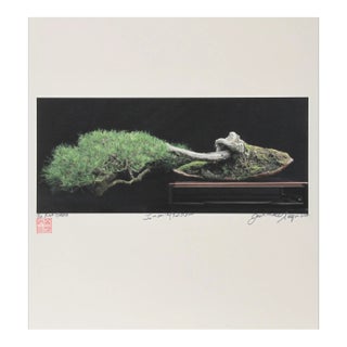 Imperial Series Xi, Jonathan Singer For Sale