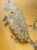 Gorgeous Vintage Quartz Grape Vine Cluster For Sale - Image 4 of 4