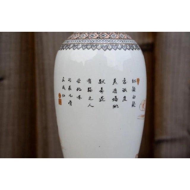 20th Century Chinese Famille Rose Grisaille and Iron Red Porcelain Vase For Sale - Image 14 of 18
