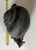 1990s Vintage Anthony Freeman McFarlin California Pottery 11" Snail Figurine For Sale - Image 5 of 6