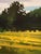 As the Clouds Roll By by Michelle Condrat | Oil on Panel Landscape with clouds and trees For Sale - Image 4 of 4