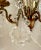 Early 20th Century Early 20th Century Pair of French 3-Arm Candelabra Crystal Mirror Sconces For Sale - Image 5 of 13