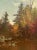 A beautiful autumnal scene, Woodland Interior, New Hampshire by Hudson River School painter Alfred Thompson Bricher...