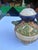 Large Ceramic Vintage Jar With Frog Details- Condition Issue For Sale - Image 4 of 8
