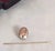 Antique Egyptian Revival Victorian 9ct Gold Scarab Beetle Pin For Sale - Image 15 of 18