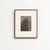 Karl Blossfeldt — Framed Photogravure: Natural Grace, 1942 A striking Karl Blossfeldt photogravure from the 1942 edition...