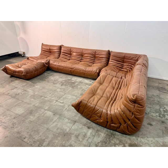 1970s Set of 5 Togo Sofa in Cognac Leather by Michel Ducaroy for Ligne Roset, 1970s For Sale - Image 5 of 5