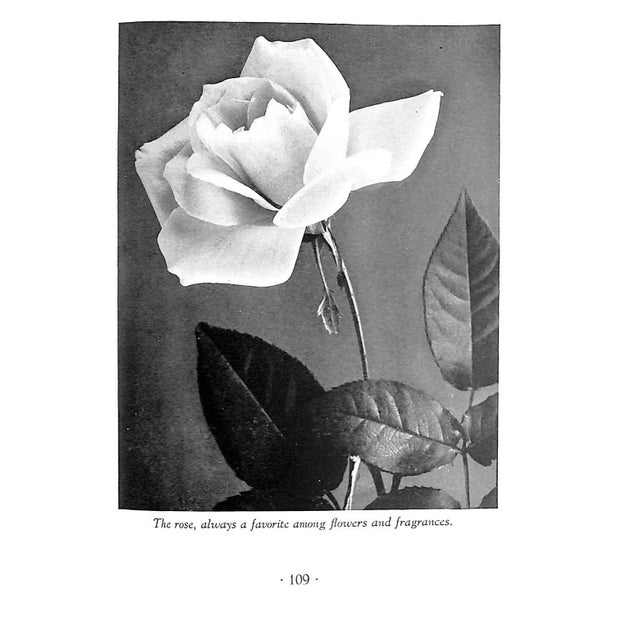 "The Science and Art of Perfumery"1945 Sagarin, Edward For Sale - Image 4 of 9