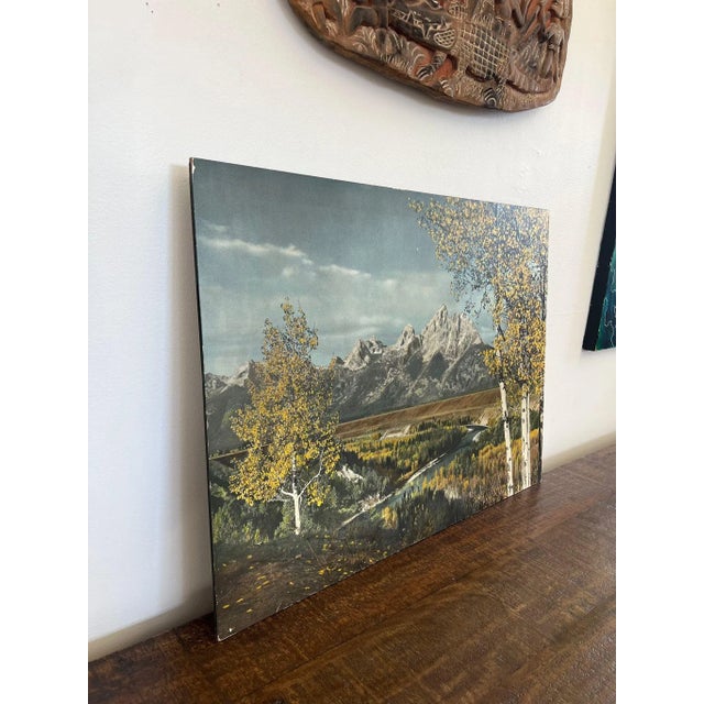 Mid-Century Modern 1970s Vintage Tinted Photo Print For Sale - Image 3 of 10