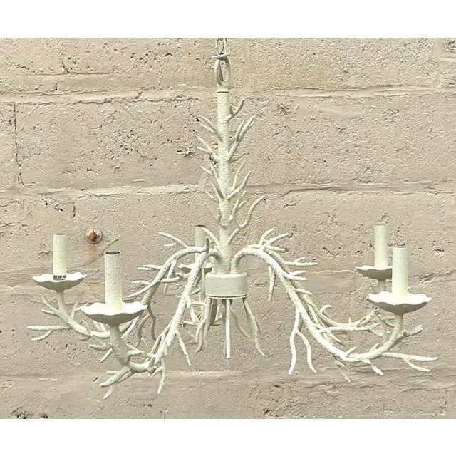 Coastal Vintage Coastal Coral Branch Chandelier For Sale - Image 3 of 4