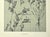 Printmaking Materials 1902 Set of 2 French Antique Botanicals- Bleeding Heart,Bellflower, Documenation For Sale - Image 7 of 10