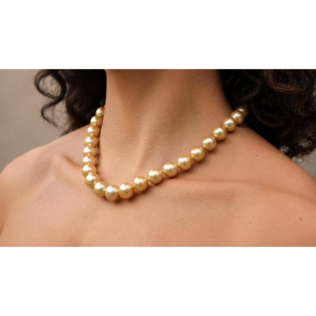 Contemporary South Sea Golden Pearls Necklace With 14k Gold Clasp For Sale - Image 3 of 11
