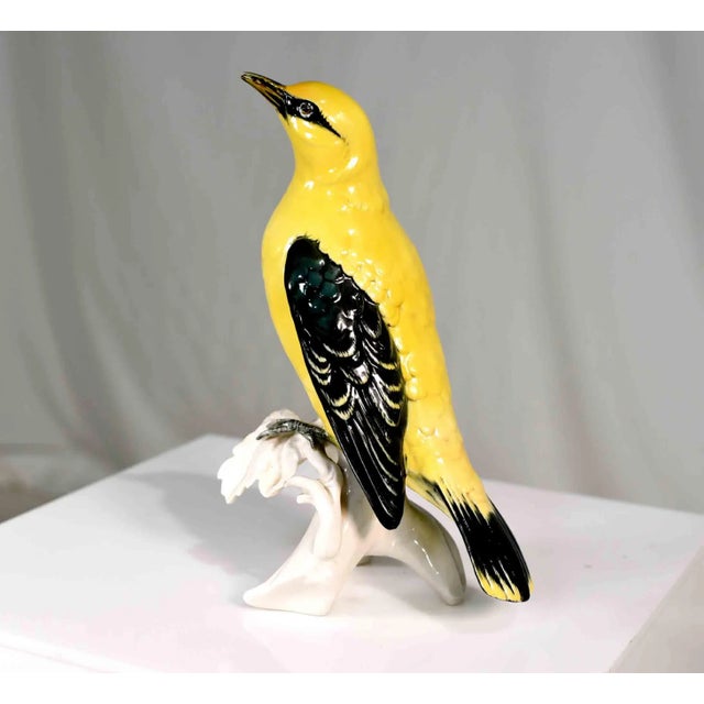 Chinoiserie Early 20th Century Porcelain Indian Golden Oriole by Karl Ens Volkstedt Germany For Sale - Image 3 of 12