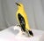 Chinoiserie Early 20th Century Porcelain Indian Golden Oriole by Karl Ens Volkstedt Germany For Sale - Image 3 of 12